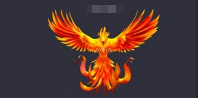 关于十大博彩网站