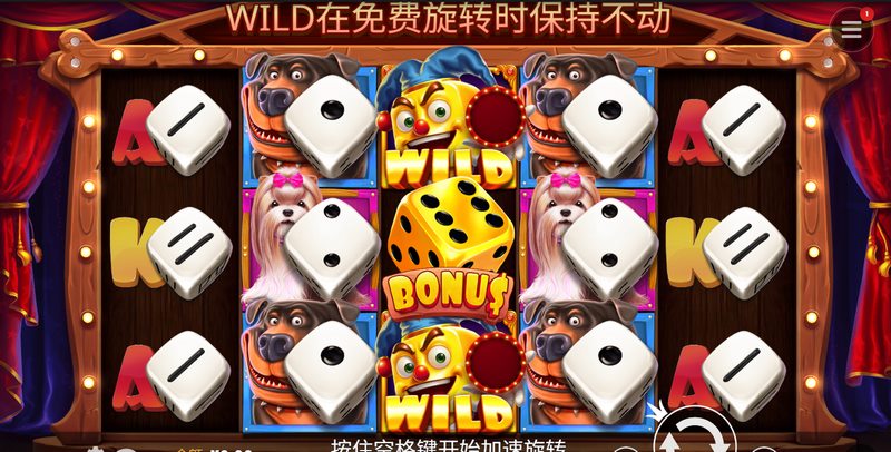 汪汪之家骰子秀